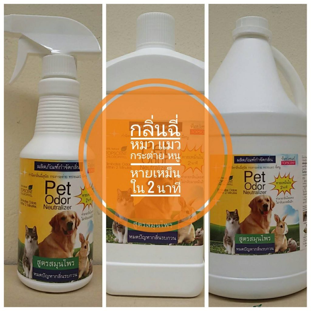 กลิ่นฉี่สุนัข ฉี่แมว ฉี่หนู ฉี่กระต่าย ท็อปเซนท์ topscent
